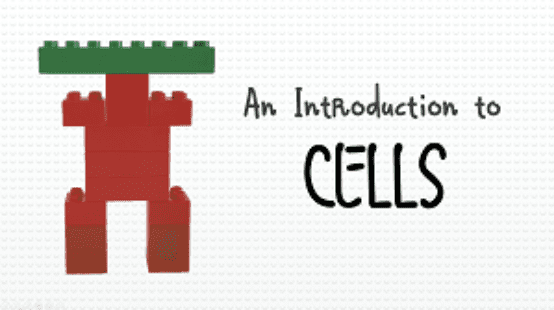 Year 8 - An Introduction to Cells Presentation