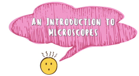 Year 8 - An Introduction to Microscopes Presentation