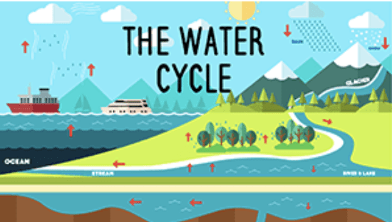 Year 7 - Water Cycle Presentation